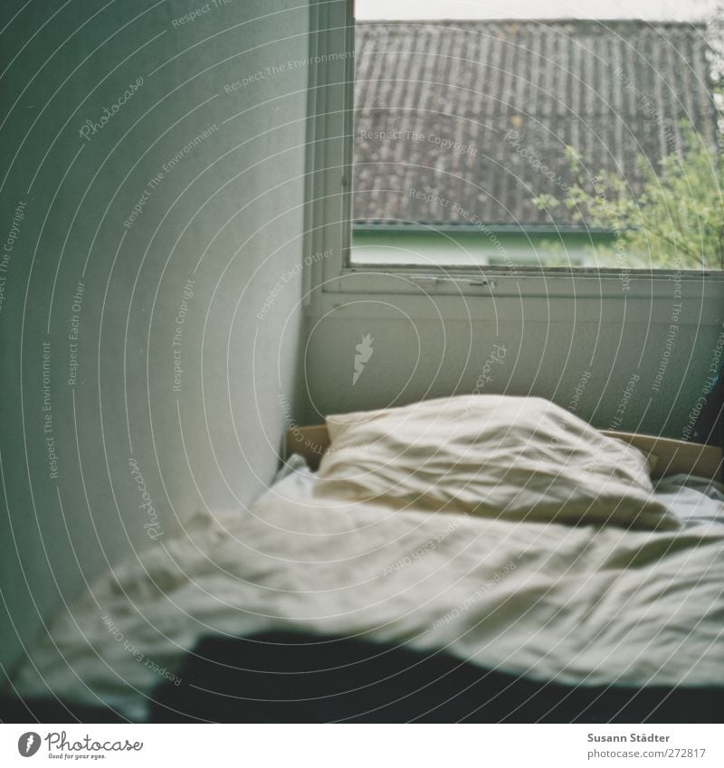 Hiddensee | Poseritz Castle Roof Sleep Bedclothes Window GDR Old Vantage point Analog Medium format Pillow Duvet Wall (building) Rest Quarter Subdued colour