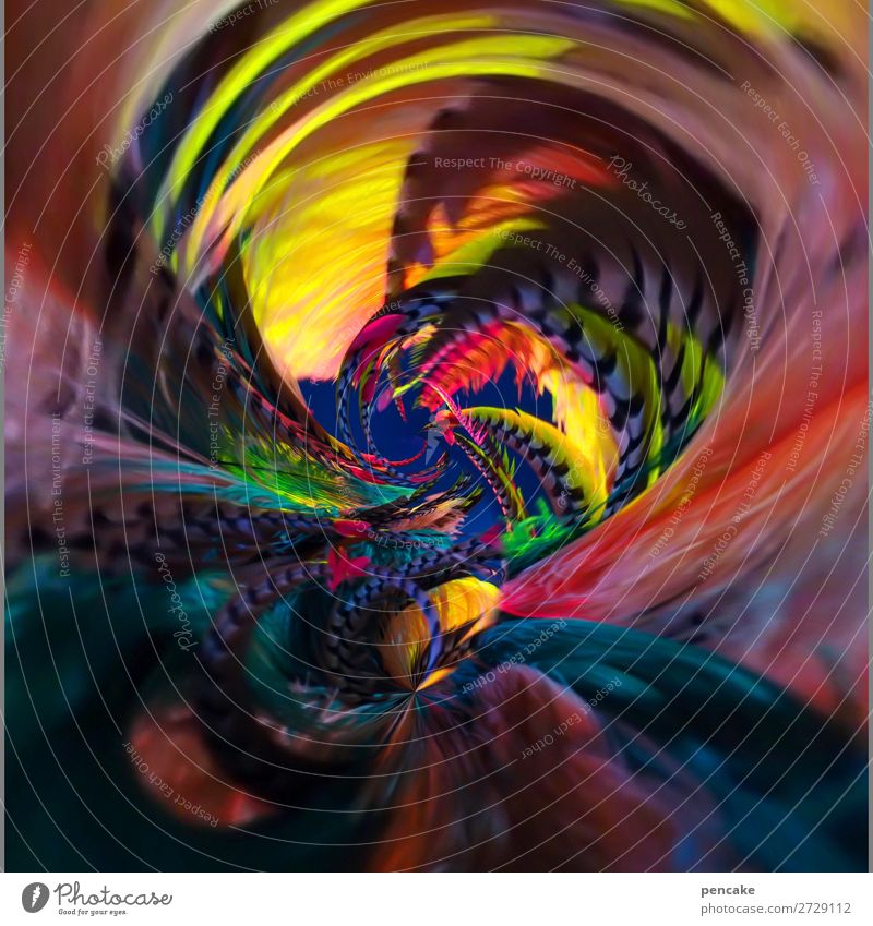 A cauldron of colours Style Exotic Stage Dance Dancer Event Shows Fashion Accessory Fantastic Fluid Many Feather Circus Swirl Spiral Rotation Round Colour photo