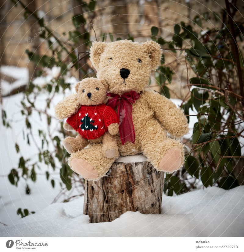 two teddy brown bears sit hugging on stump Winter Snow Child Friendship Couple Infancy Nature Weather Toys Doll Teddy bear Old Love Sit Embrace Small Cute Soft
