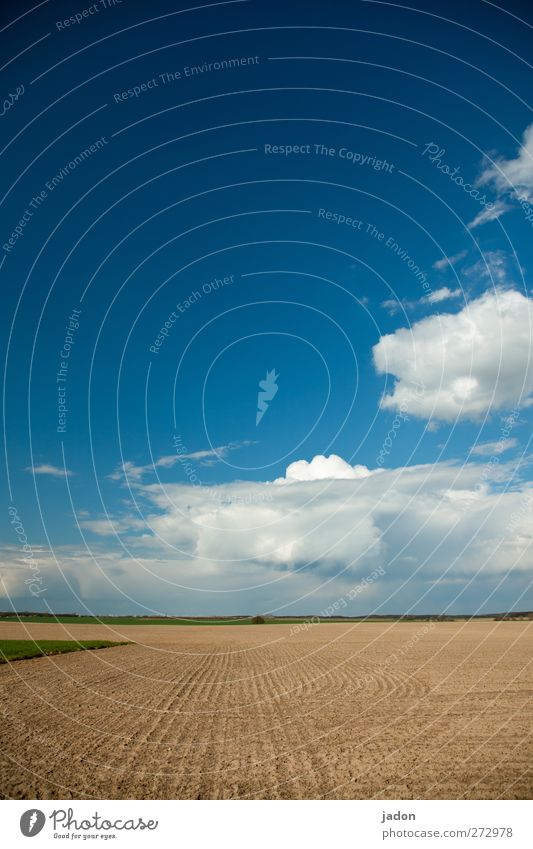 rural area. Landscape Earth Sand Sky Clouds Beautiful weather Field Infinity Blue Calm Loneliness Horizon Nature Perspective Far-off places Plain Tracks Flat