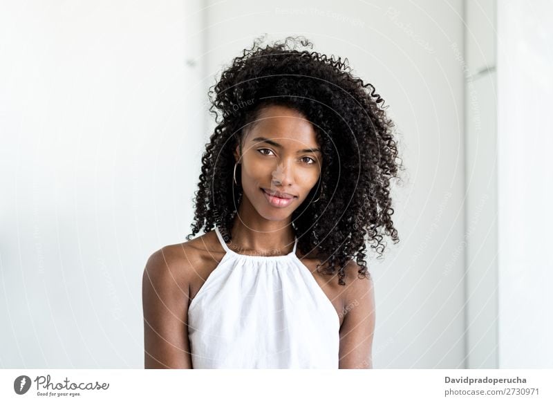Portrait of a beautiful young black woman looking into camera Woman Portrait photograph Close-up Black Smiling Beautiful Cute pretty Skin Afro