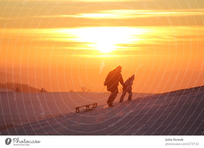 uphill Sleigh Sledding Human being Child Woman Adults 2 Walking Colour photo Exterior shot Copy Space top Evening Twilight Sunrise Sunset Sledge Upward Pull
