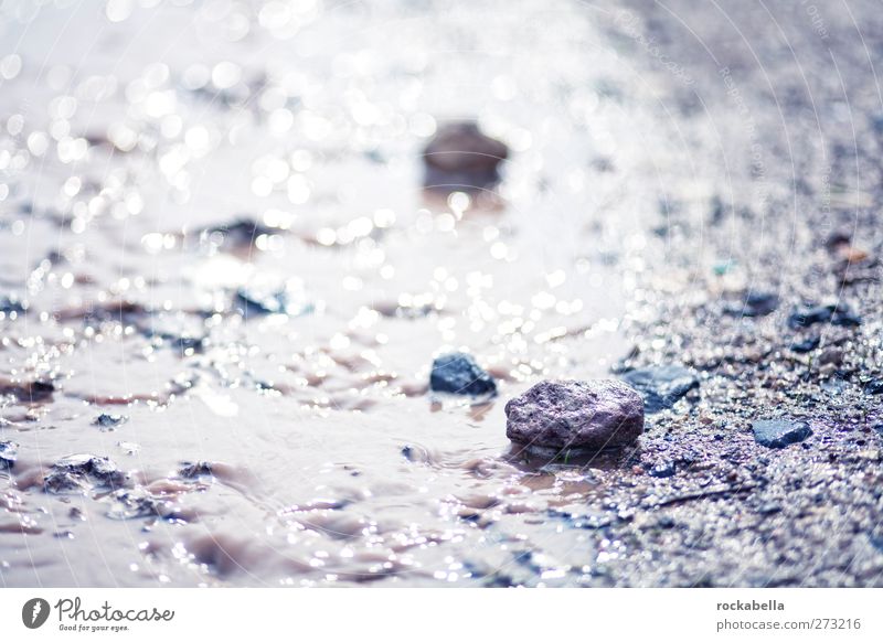 Stones in puddle Environment Nature Landscape Earth Water Esthetic Loneliness Colour photo Exterior shot Deserted Back-light Shallow depth of field