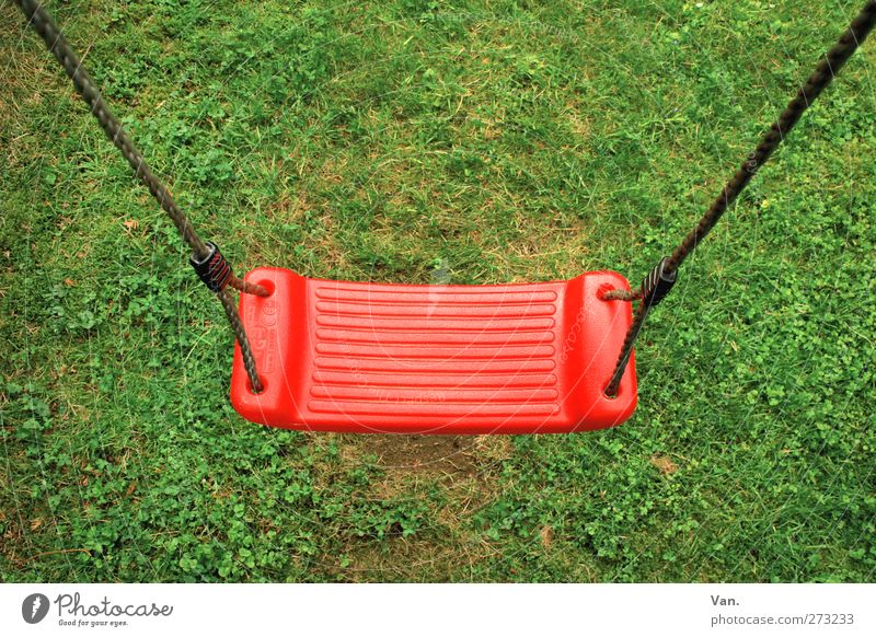 swing Plant Grass Garden To swing Green Red Swing Rope Colour photo Multicoloured Exterior shot Deserted Copy Space top Neutral Background Day Bird's-eye view