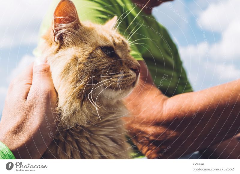 friends for life Masculine 60 years and older Senior citizen Sky Clouds Summer T-shirt Pet Cat Touch Relaxation Blonde Elegant Friendliness Happy