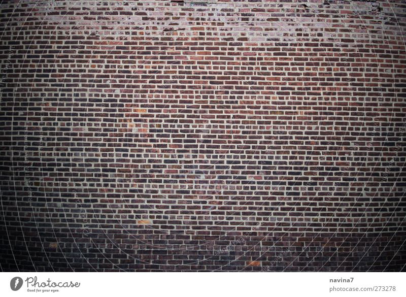 wall Brick wall Wall (barrier) Wall (building) Facade Stone Old Brown Red Colour photo Subdued colour Exterior shot Deserted Copy Space left Copy Space right