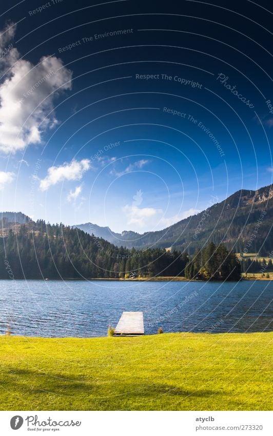 Spitzingsee Vacation & Travel Summer Summer vacation Mountain Landscape Water Sky Clouds Blue Green Pure Lake Lakeside Nature Mountain forest Meadow Idyll Calm