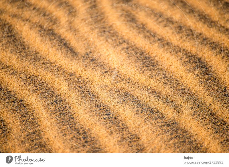 Sandy beach with patterns Summer Beach Maritime Pattern lines valleys heights Waves texture eyeballed linear text space Colour photo Close-up Deserted