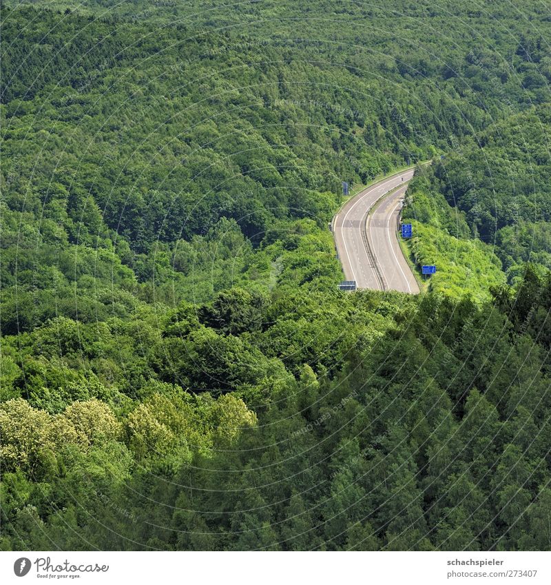 Brrmmmm - a piece of motorway Environment Nature Landscape Plant Tree Forest Traffic infrastructure Road traffic Highway Blue Gray Green Environmental pollution