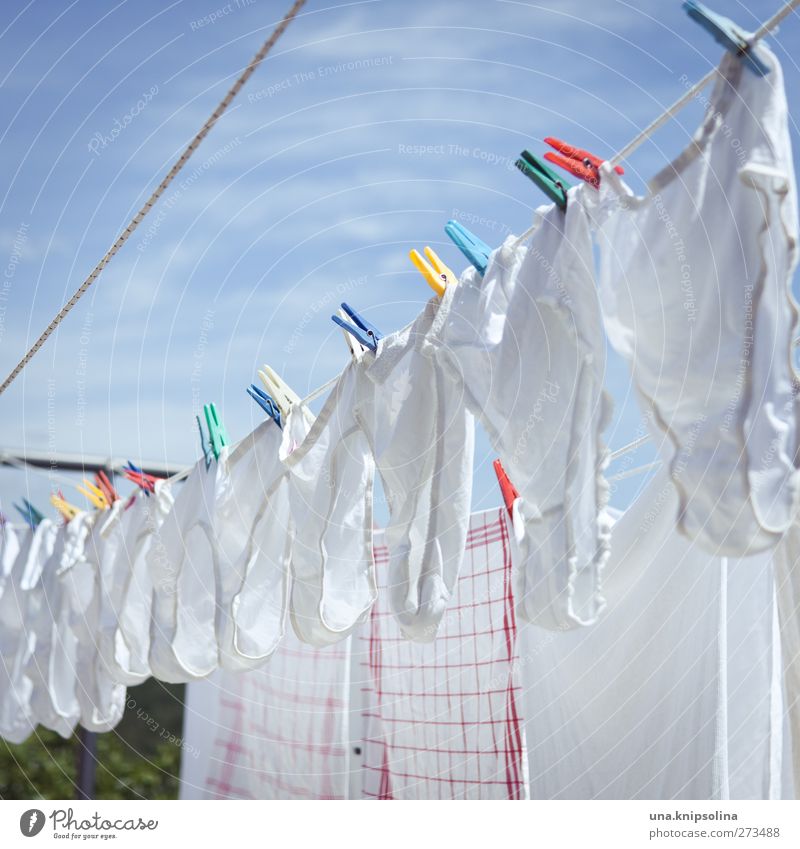 washing day at wilma und stanko Sky Underwear Cloth Underpants Cotton Hang Dry Clothesline Laundry Holder Colour photo Exterior shot Close-up Detail Pattern