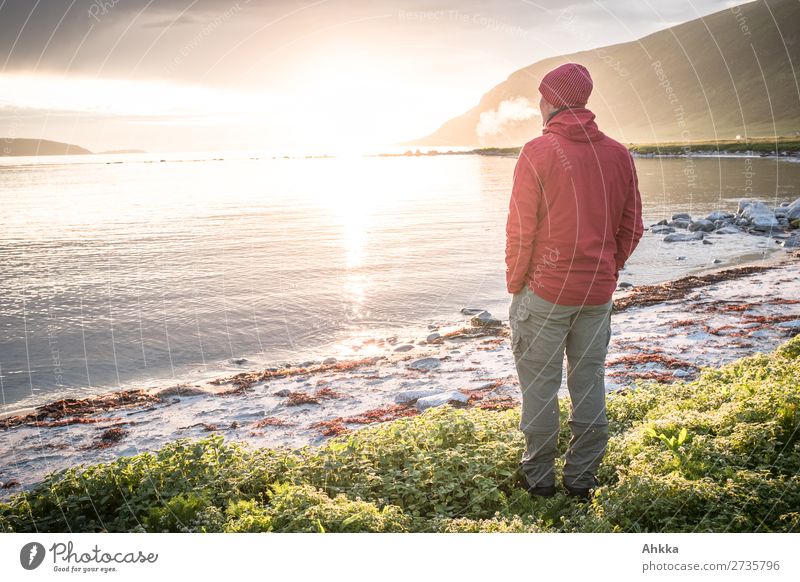 Midnight sun and wanderlust Adventure Far-off places Sun Beach Ocean Young man Youth (Young adults) Nature Bay Arctic Ocean Norway Relaxation To enjoy Fantastic