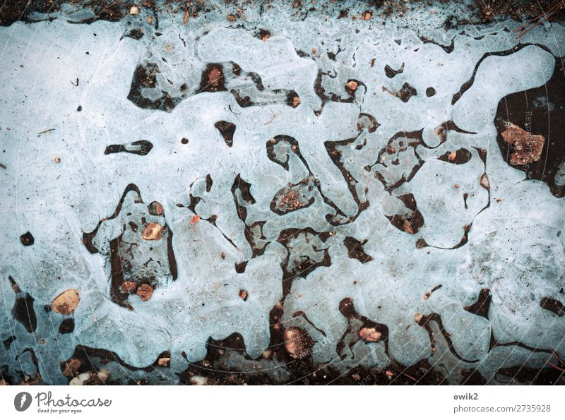 Nature makes art Environment Winter Ice Frost Puddle Frozen Stone Calm Bizarre Flow Colour photo Exterior shot Detail Abstract Structures and shapes Deserted