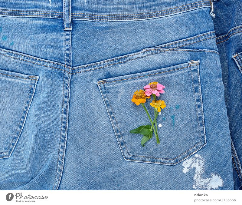 bouquet of flowers Style Design Blossom Fashion Clothing Jeans Old Blossoming Natural Blue Yellow Green Colour Tradition back background casual Cotton Denim