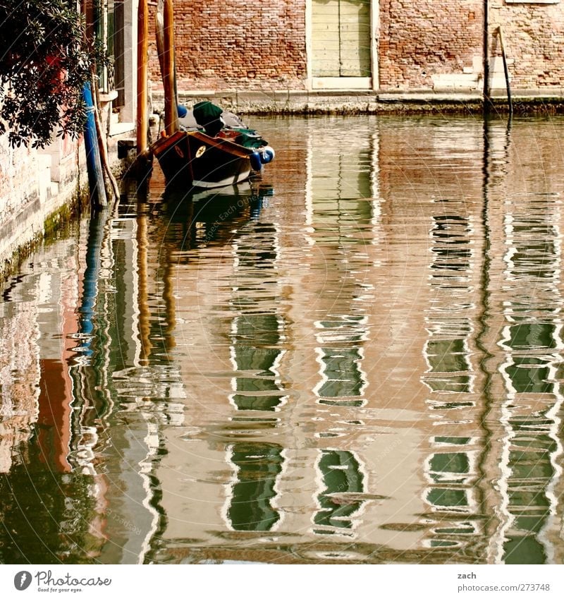 Living by the water Water Plant Flower Coast Venice Italy Fishing village Port City Old town Deserted House (Residential Structure) Architecture Wall (barrier)