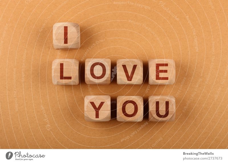 Wooden cubes with I LOVE YOU words over red Design Leisure and hobbies Playing Valentine's Day Paper Sign Characters Signs and labeling Love Together Above