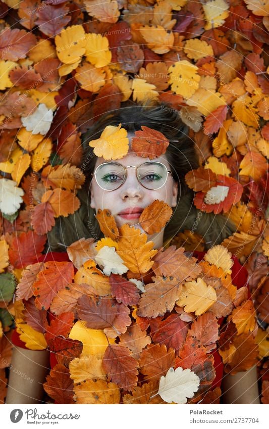 #A# nature-loving Art Work of art Esthetic Autumn Autumn leaves Autumnal Autumnal colours Early fall Automn wood Autumnal weather Autumnal landscape Autumn wind