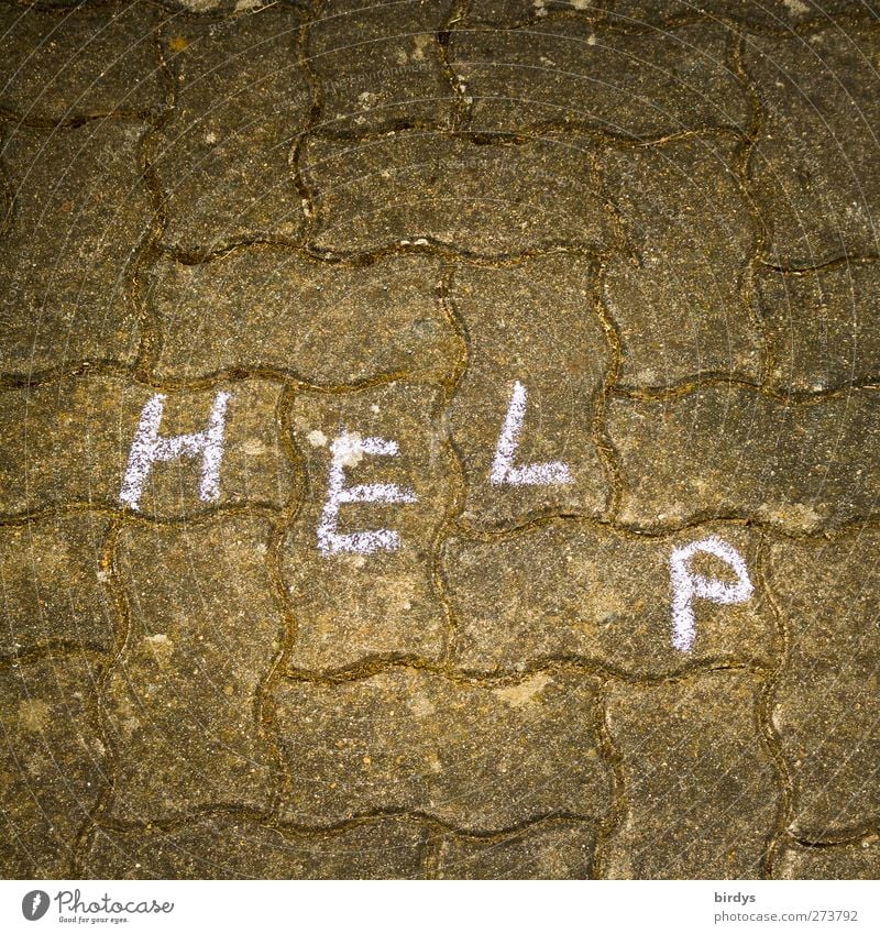 Help. Cry for help on cobblestones Characters Illuminate Authentic Distress Paving stone Street painting Seeking help Chalk drawing Subdued colour Exterior shot