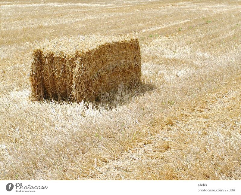 straw bale Bale of straw Straw Field Stubble field Cuboid Sharp-edged Yellow Bound Bundle Sun Shadow Harvest