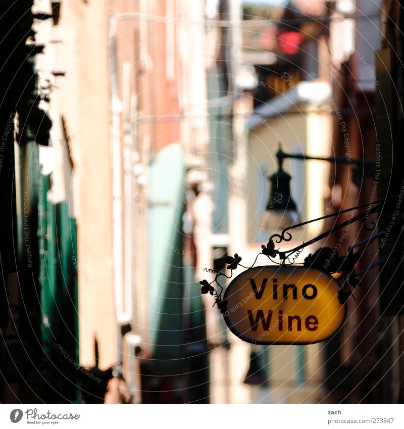 Venetian Wine Beverage Alcoholic drinks Sparkling wine Prosecco luxury food Shopping Venice Italy Fishing village Port City Old town