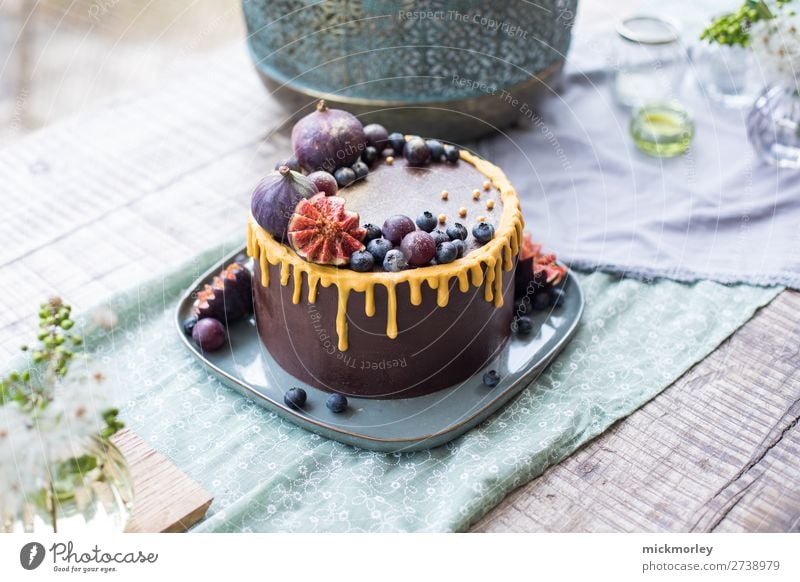 Summer cake Dessert Chocolate Gateau Piece of gateau Nutrition Eating To have a coffee Banquet Slow food Elegant Style Life Party Feasts & Celebrations Birthday