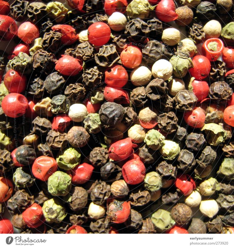 colorful pepper Herbs and spices Nutrition Design Pepper Peppercorn Multicoloured Green Red Black grains Close-up Cooking Square Colour photo Exterior shot