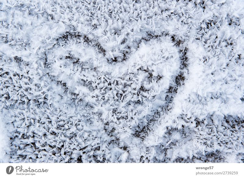 Cold love Sign Heart Black White Hope Love Valentine's Day Cold shock Hoar frost Winter Display of affection Colour photo Subdued colour Exterior shot Close-up