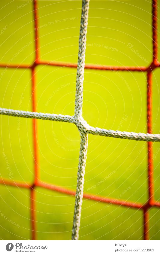 Network Soccer Goal Green Red Sports Symmetry Synthesis Node Knot Bright background 2 Colour photo Multicoloured Exterior shot Deserted Copy Space top