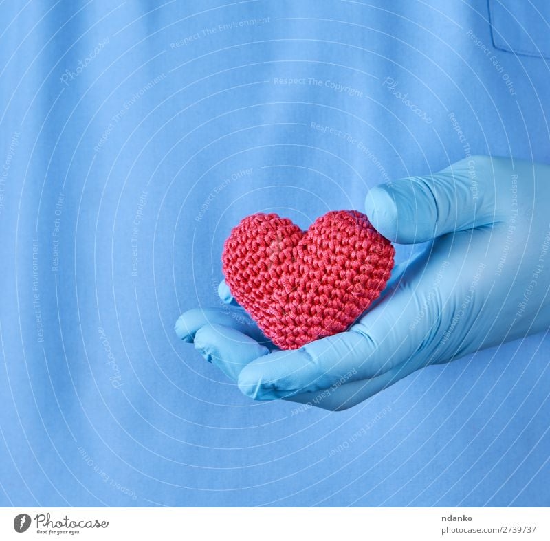 doctor with blue latex gloves holding a red heart Health care Illness Medication Doctor Hospital Human being Man Adults Hand Gloves Heart Blue Red Insurance