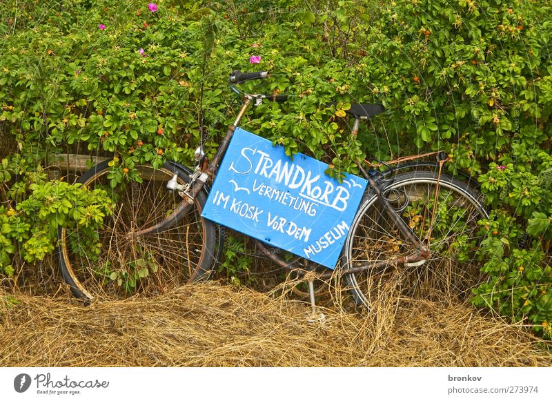 Beach chair rental Wellness Calm Cure Tourism Sunbathing Island Bushes Baltic Sea Deserted Bicycle Relaxation Blue Green Colour photo Exterior shot Morning