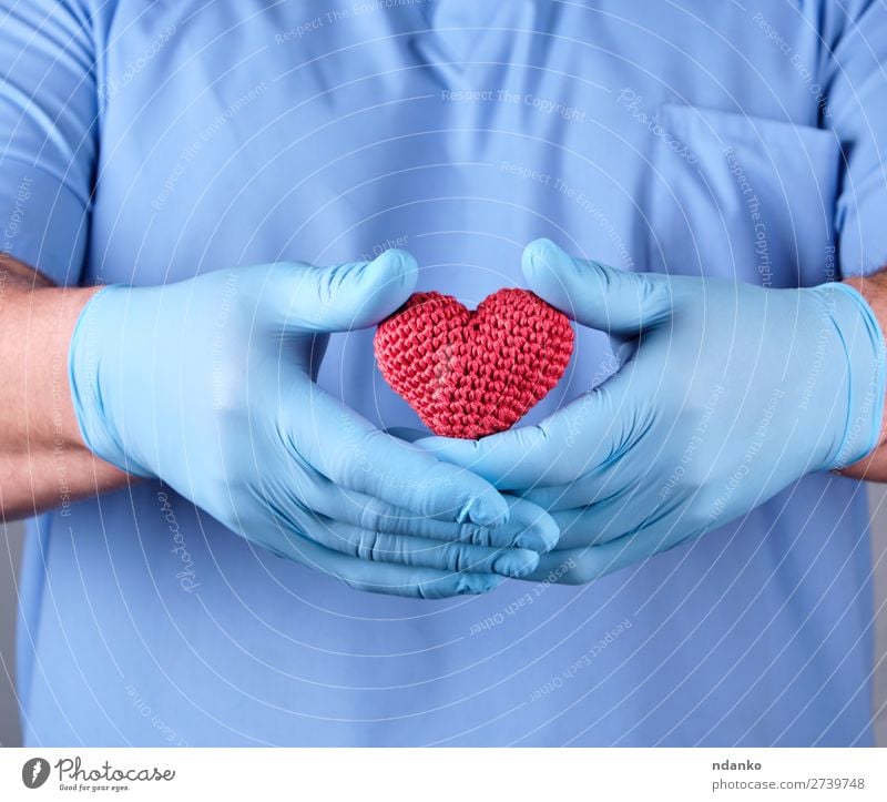 doctor with blue latex gloves holding a red heart Healthy Health care Illness Medication Doctor Hospital Human being Man Adults Hand Heart Touch Small Blue Red
