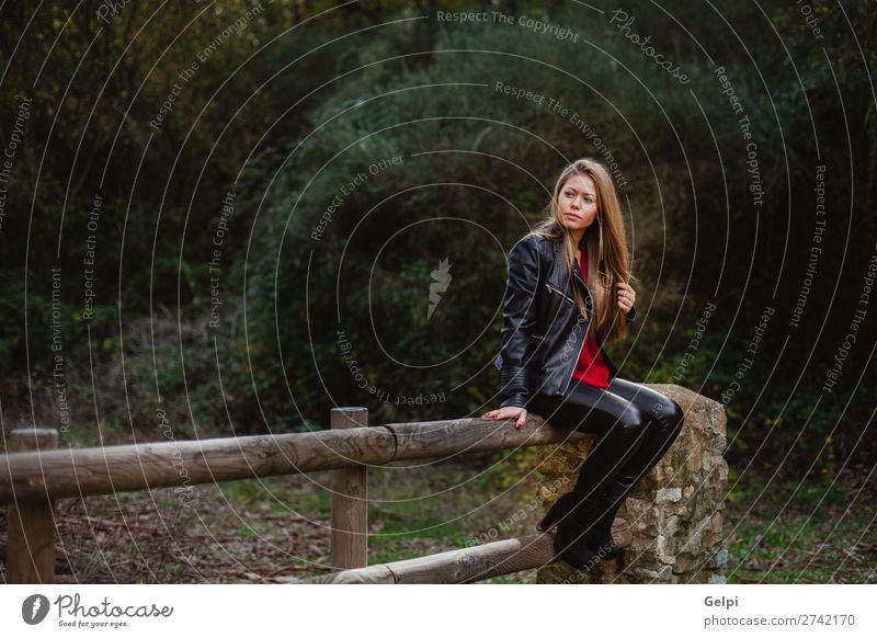 Cool blonde girl sitting on a wooden fence Lifestyle Happy Beautiful Relaxation Vacation & Travel Human being Woman Adults Nature Autumn Leaf Park Forest
