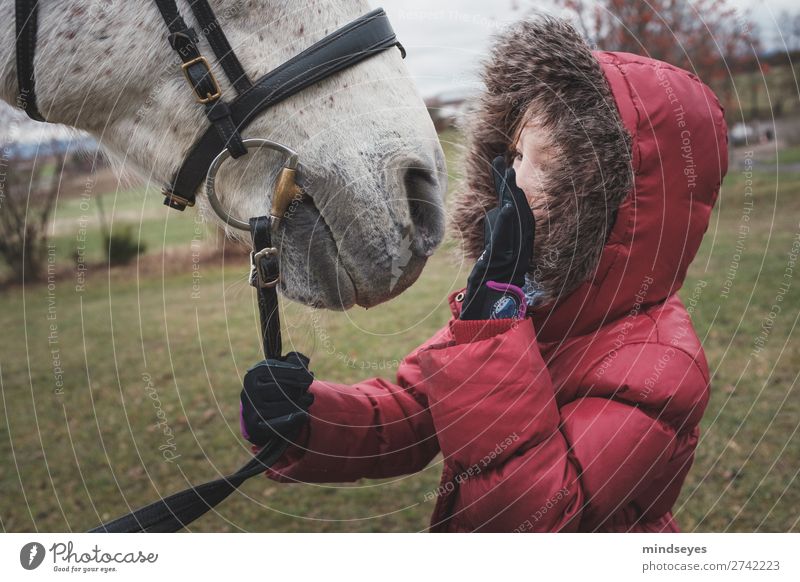 Girl in red winter jacket talks to her horse Ride Feminine Child Infancy 1 Human being 3 - 8 years Nature Winter Meadow Jacket Pelt Hooded (clothing) Horse