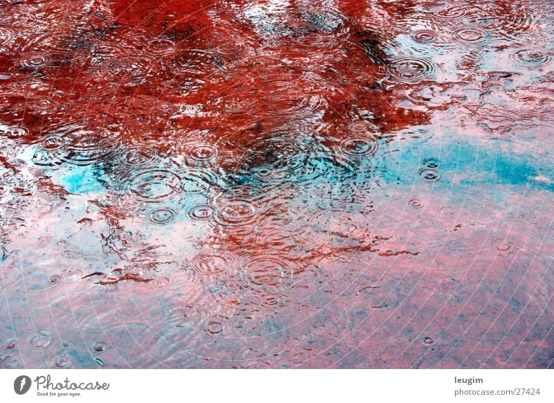Rainy Morning Circle Red Black Reflection Water Floor covering terrace