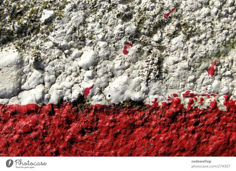 anyone for tennis Wall (barrier) Wall (building) Facade Red White Structures and shapes Crack & Rip & Tear Colour photo Detail Abstract Pattern