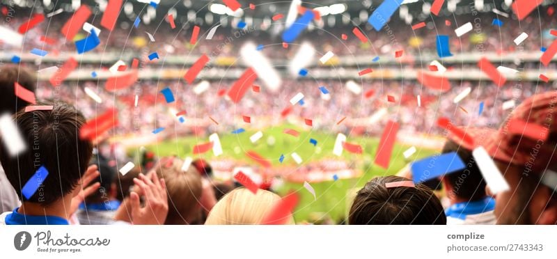 Spectators in the stadium in the confetti rain Joy Happy Leisure and hobbies Party Feasts & Celebrations Sports Sportsperson Sports team Audience Fan Stands