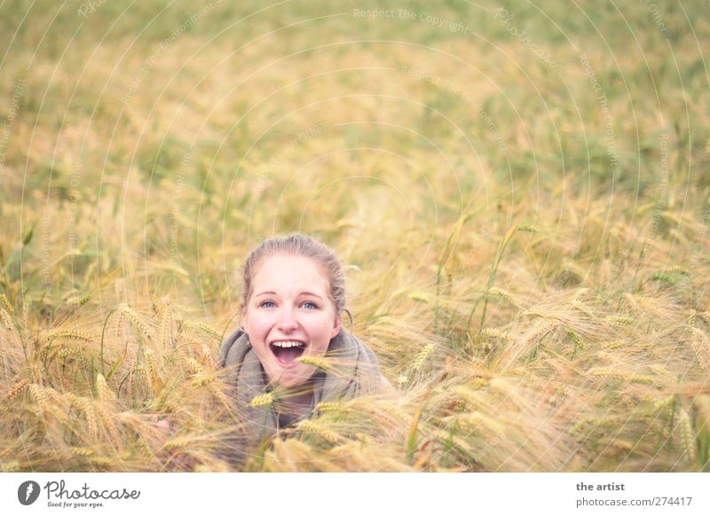 in the cornfield Human being Feminine Girl Young woman Youth (Young adults) Head 1 Agricultural crop Blonde Cornfield Brash Free Happiness Bright Yellow Joy