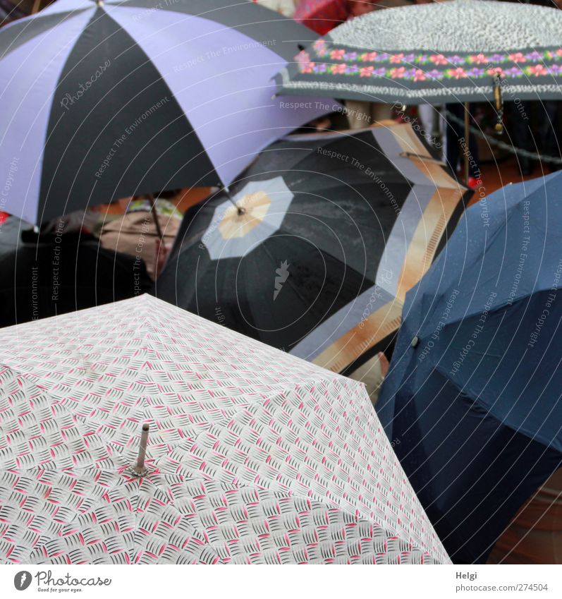 auspices Bad weather Rain Umbrellas & Shades Plastic Pattern Touch To hold on Wait Authentic Exceptional Dark Together Uniqueness Wet Round Blue Multicoloured
