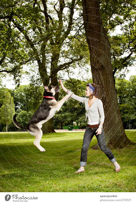 Jumping dog Human being Feminine Woman Adults 1 18 - 30 years Youth (Young adults) Environment Nature Landscape Beautiful weather Tree Garden Park Meadow Forest