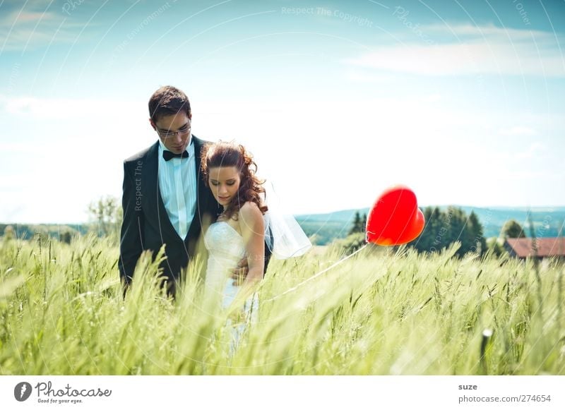 Today Is A Good Day Summer Wedding Human being Masculine Feminine Woman Adults Man 2 18 - 30 years Youth (Young adults) Nature Landscape Sky Beautiful weather