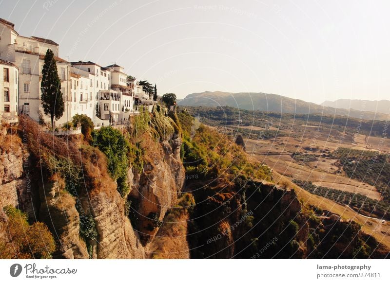 Ronda [LIV] Tree Bushes Hill Rock Canyon Andalucia Spain Outskirts Old town Populated House (Residential Structure) Tourist Attraction Landmark Exceptional Tall