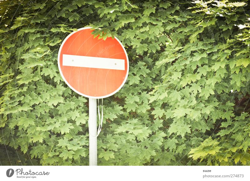 Rothschild Environment Nature Leaf Transport Sign Road sign Growth Green Red Bans One-way street Warning sign Prohibition sign Graphic Treetop Colour photo