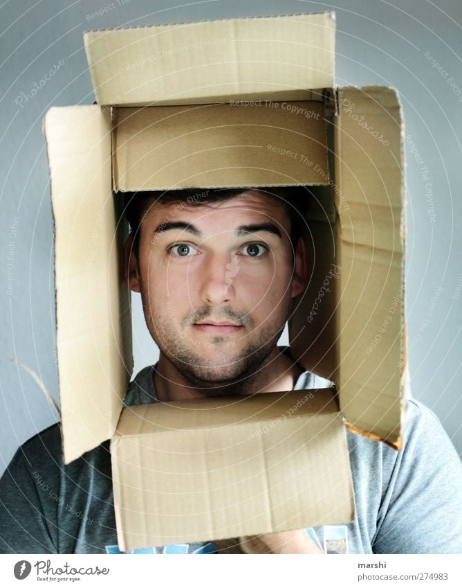 it raps in the box Human being Masculine Man Adults 1 Sharp-edged Cardboard Crate Face Interior shot Within Surprise Character Looking Expression Emotions