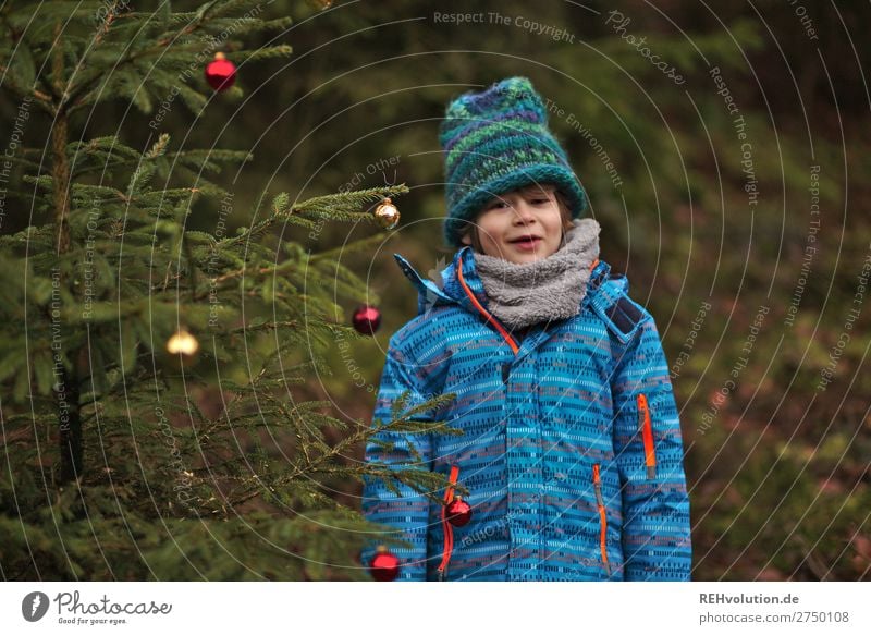 Child standing at a Christmas tree Feasts & Celebrations Christmas & Advent New Year's Eve Human being Masculine Boy (child) 1 8 - 13 years Infancy Environment