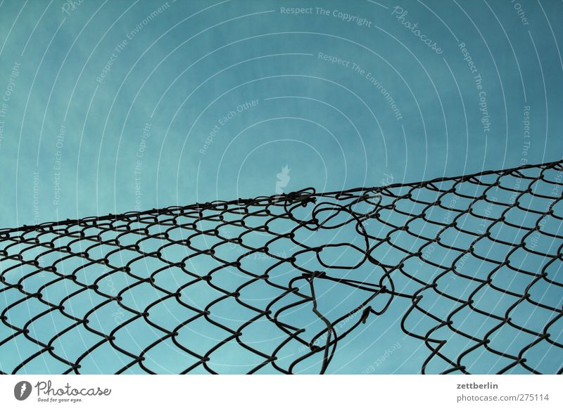 wire netting Environment Sky Cloudless sky Climate Climate change Weather Beautiful weather Good Wire netting Wire netting fence Fence Neighbor Border