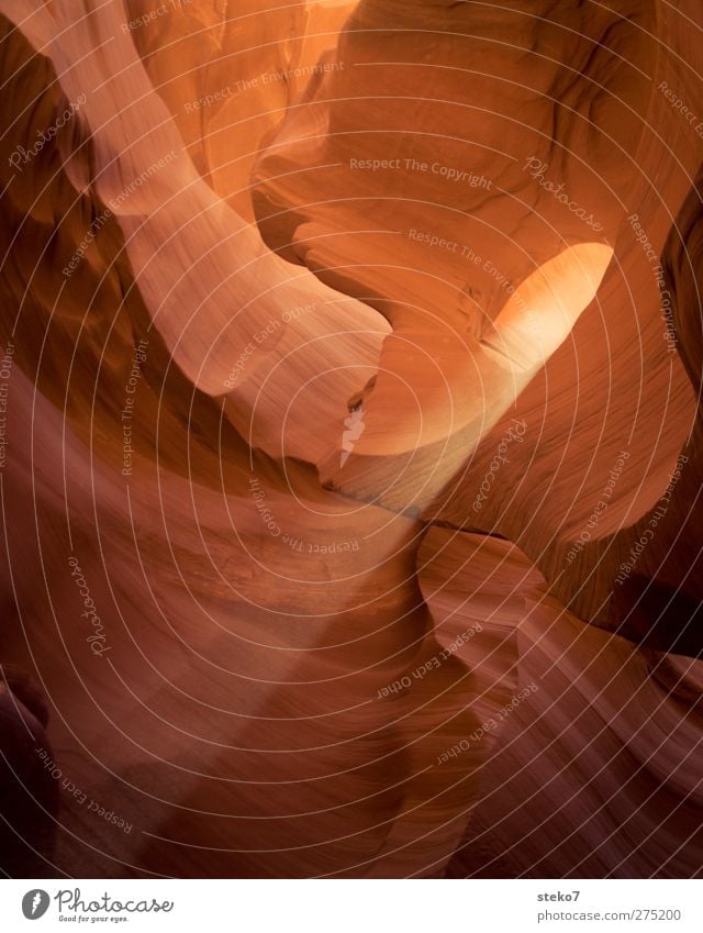 Light in the tunnel Rock Canyon Exceptional Orange Red Warm-heartedness Antelope Canyon Sandstone Ground down Round Structures and shapes Beam of light