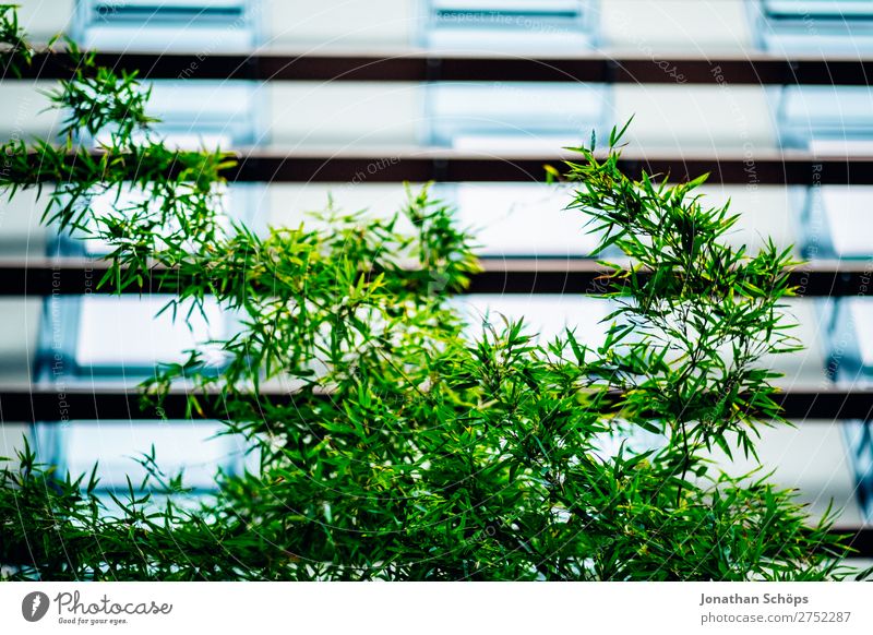 modern urban business architecture Style Garden Office Stock market Business Company Plant Tree Leaf Architecture Green Bauhaus Office building