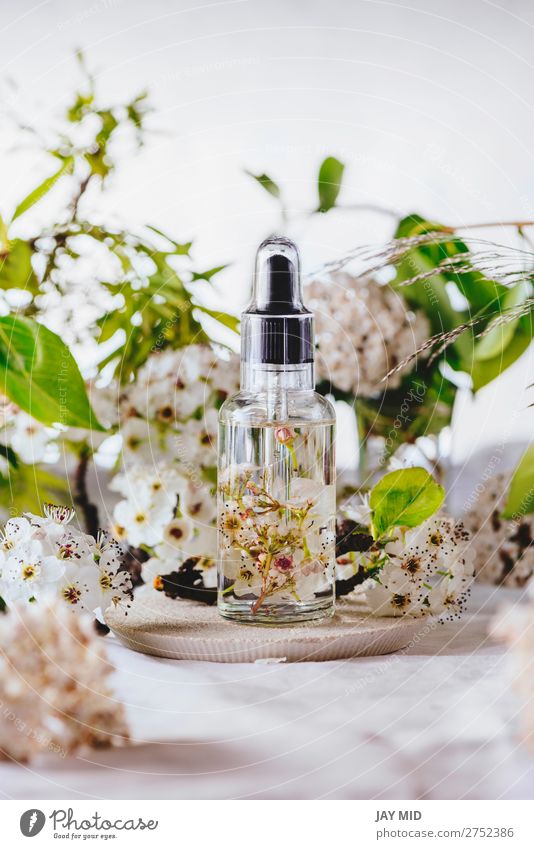 Essential oil, with natural cherry flowers Herbs and spices Lifestyle Personal hygiene Body Cosmetics Health care Medical treatment Care of the elderly