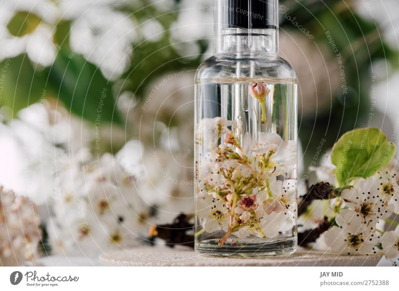 Essential oil, with natural cherry flowers Herbs and spices Lifestyle Beautiful Personal hygiene Hair and hairstyles Skin Medical treatment Medication Wellness