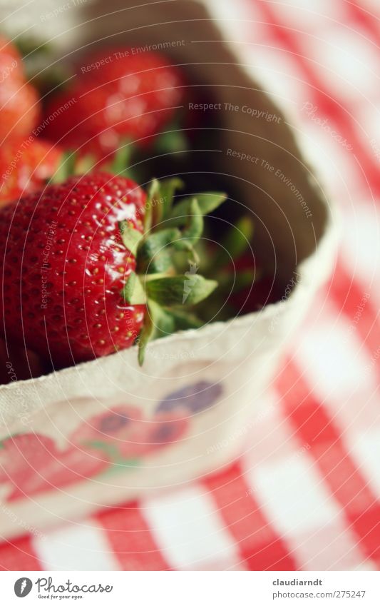 Mjam! Fruit Strawberry Nutrition Organic produce Vegetarian diet Bowl Fresh Healthy Delicious Juicy Red Checkered Tablecloth Aromatic Colour photo Close-up