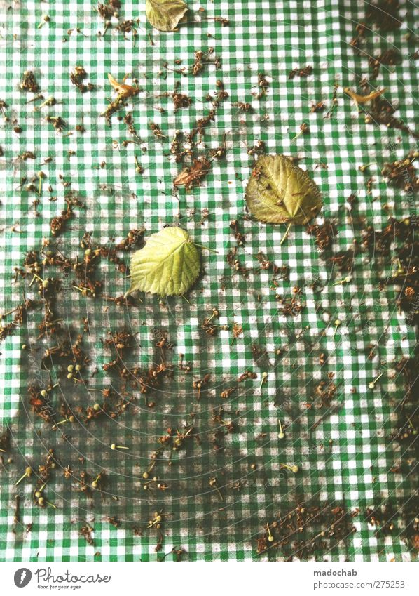 pixel error Leaf Dirty Checkered Autumn leaves Tablecloth Green Colour photo Multicoloured Exterior shot Detail Abstract Pattern Structures and shapes Deserted